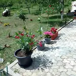 Lika Quiet Apartament *