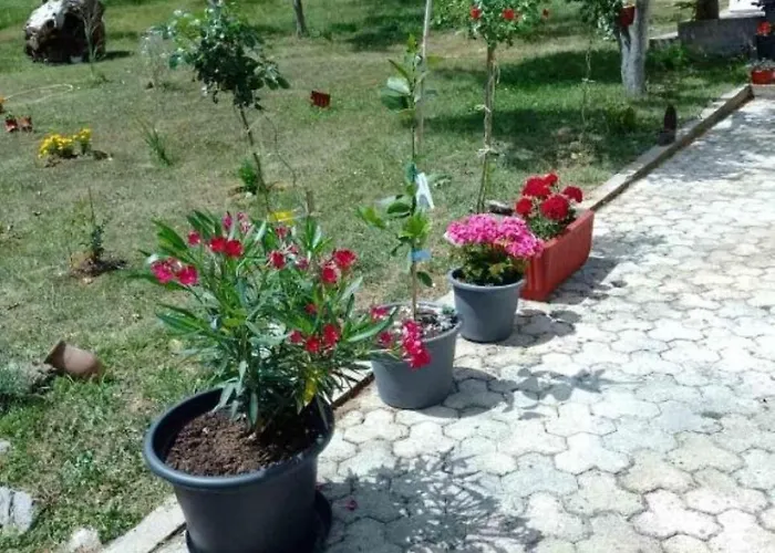 Lika Quiet Appartamento *